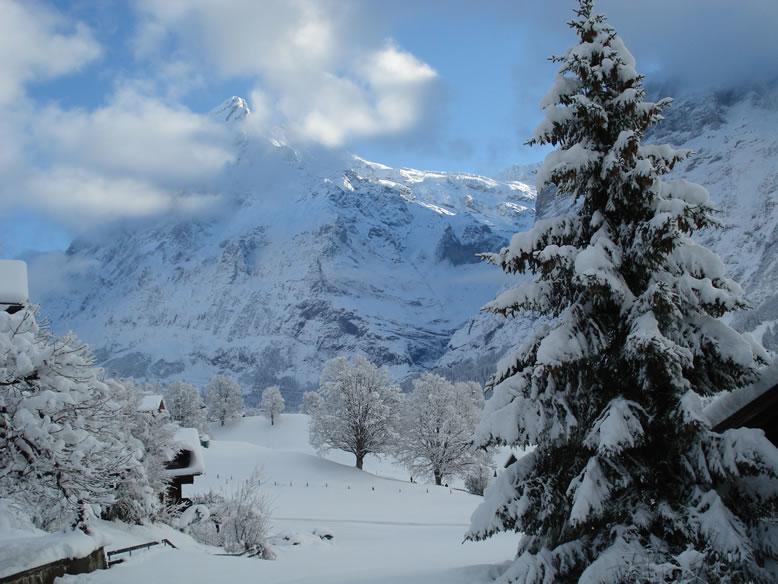 Chrinnengletscher Grindelwald Exterior photo